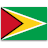 formulir aplikasi Guyana  untuk penduduk Indonesia.