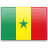 formulir aplikasi Senegal  untuk penduduk Indonesia.