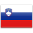
                Slovenia Visa
                