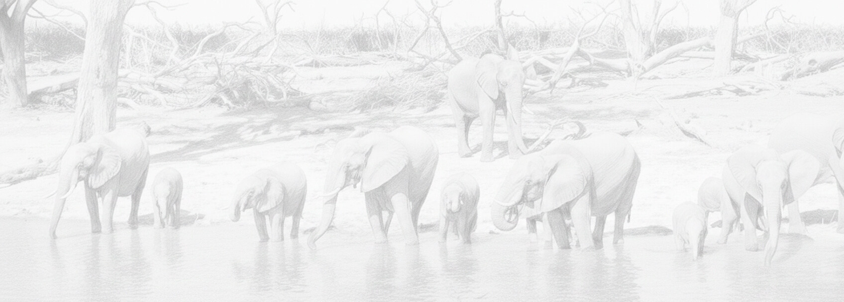 Permohonan dan persyaratan visa Botswana