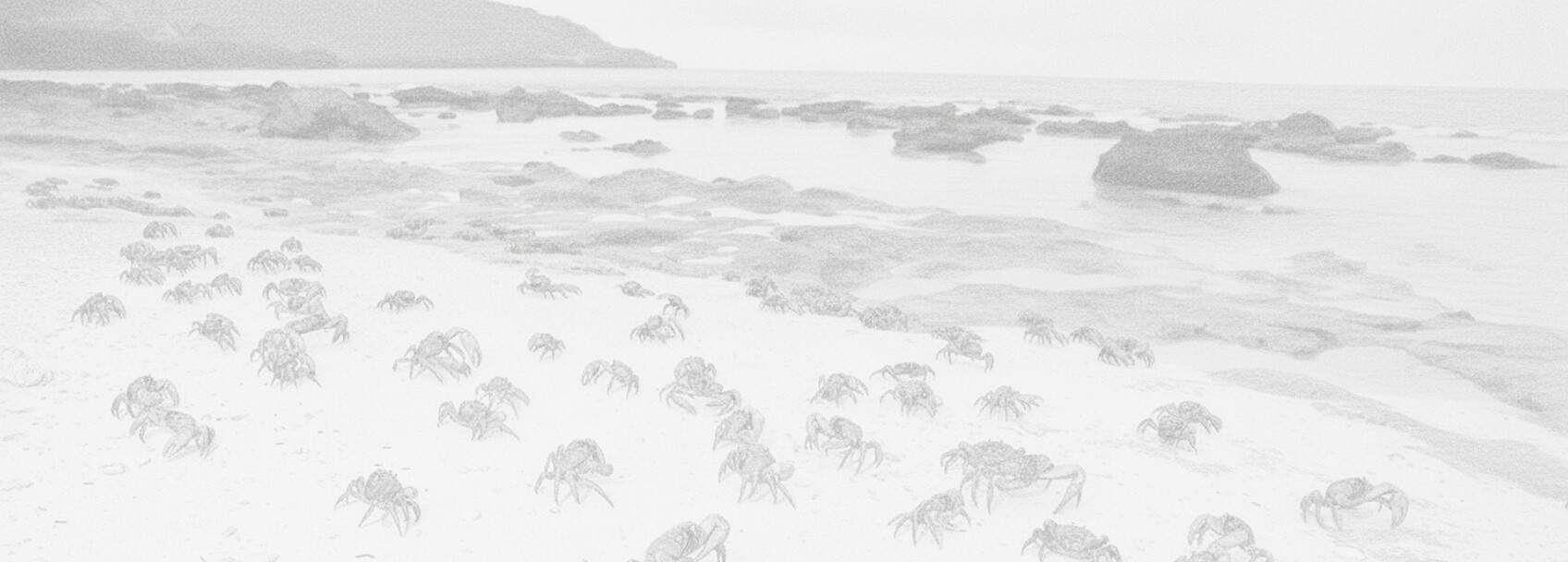 Permohonan dan persyaratan visa Kepulauan Christmas